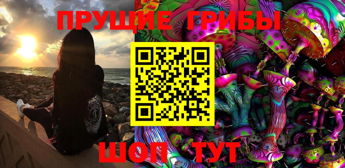 Лабинск  Галлюциногенные грибы Psilocybine cubensis  Вход с VPN 